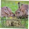 SOIMISS Hanging Rabbit Feeder view 3
