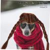 Abaodam Reusable Dog Wig - Portable Design view 3