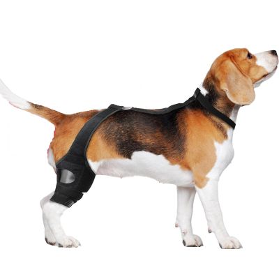 KXWDKJ Dog Knee Brace, Rear-Leg Support for Knee Joints, Pressure Relief (M)