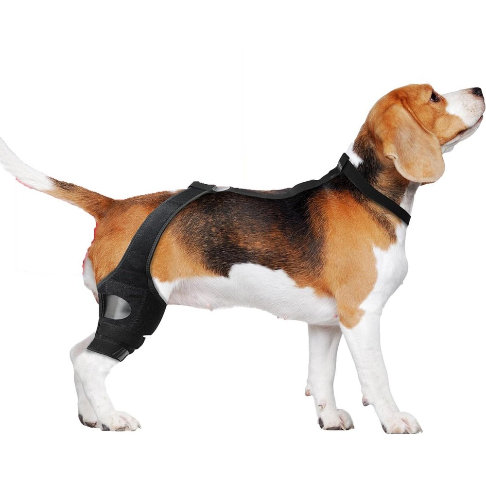 KXWDKJ Dog Knee Brace, Rear-Leg Support for Knee Joints, Pressure Relief (M)