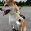 Dog Poop Bag Holder - Coffee Cup Design view 4