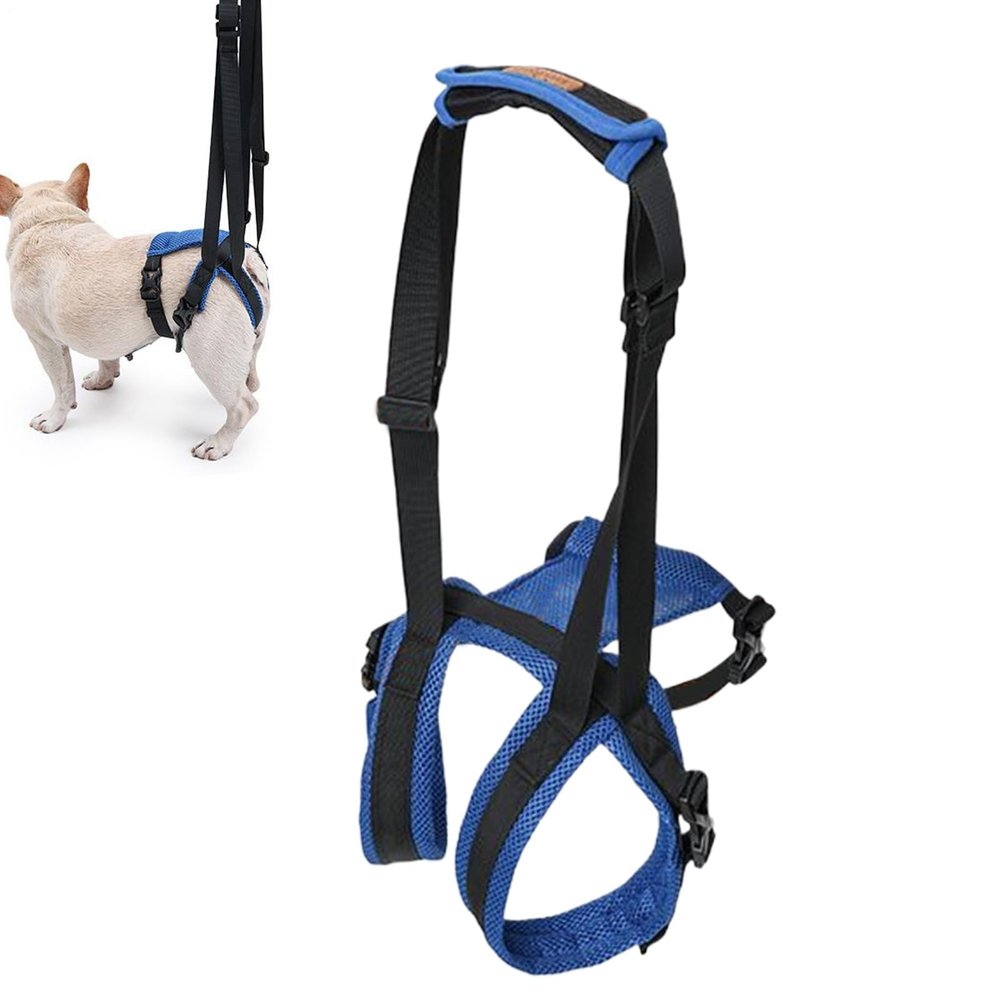 Dog Lifting Sling – Rear-Leg Support Harness and Mobility Aid