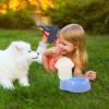 Gatuida Automatic Water Dispenser for Dogs and Cats 500 ml view 4