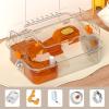 Hamster Habitat with Running Wheel and Enclosure view 2