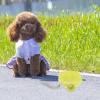 WEKAMOS Portable Dog Water Dispenser with Reusable Drinking Bowl view 3