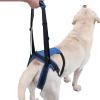 Hind-Leg Support Harness with Lumbar Support and Paw Lifter for Pets view 1