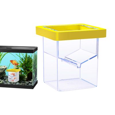 Fish Breeder - Reproduction Box
