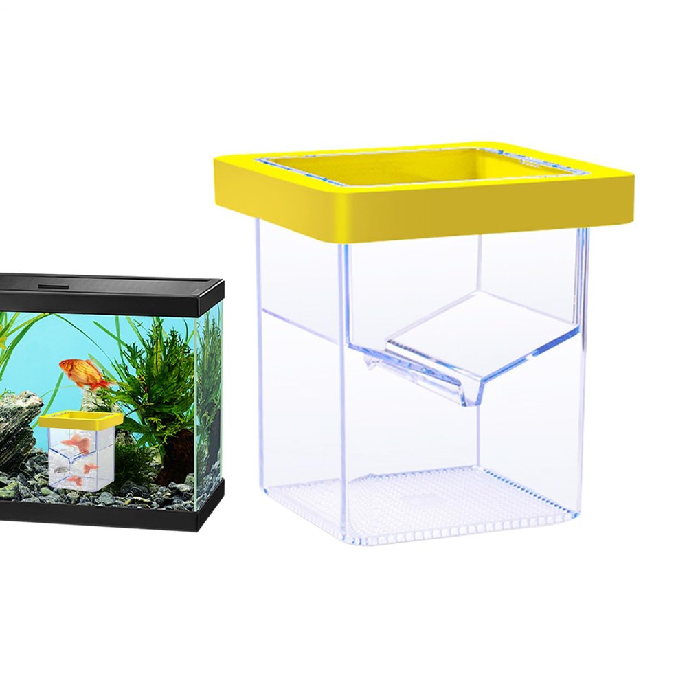 Fish Breeder - Reproduction Box