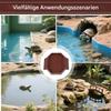 Bexdug Turtle Water Dish view 4