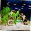 UPKOCH Transparent Incubator with Divider for Guppies and Small Fish view 4
