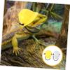 Abaodam Plastic Reptile Helmets, 2 Pieces, with Chin Straps view 3