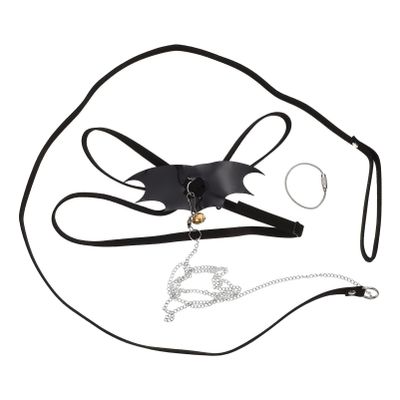 GRIRIW Reptile Leash for Bearded Dragons and Lizards
