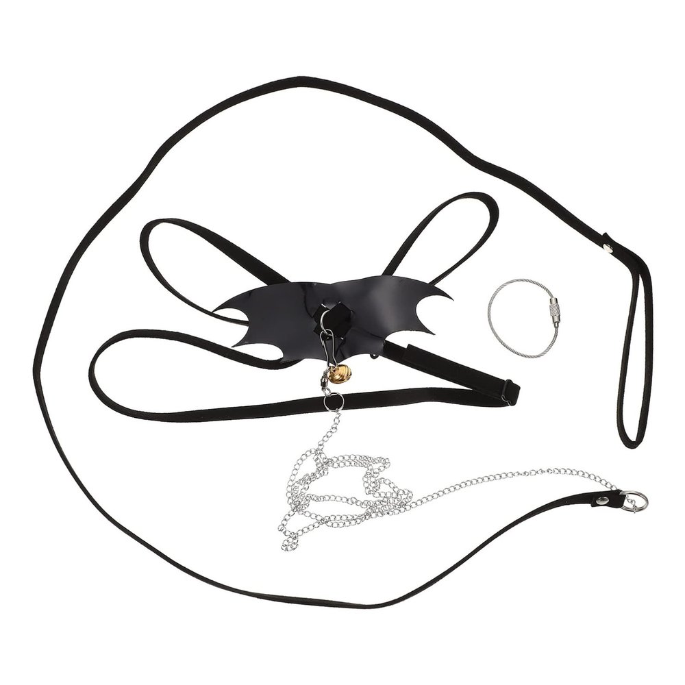 GRIRIW Reptile Leash for Bearded Dragons and Lizards