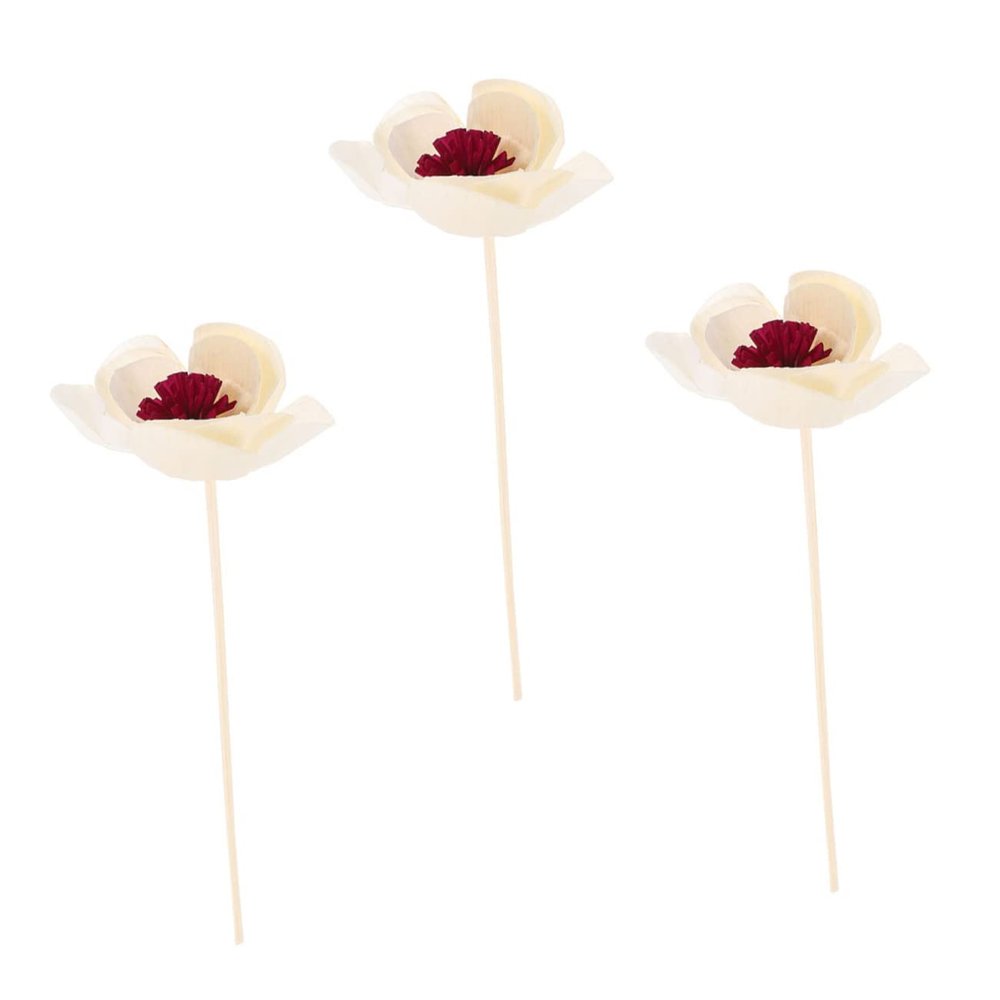 Diffuser Sticks with Dried Flowers, 3 Pieces and Froth