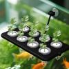 Floating Aquarium Plant Holder with Suction Cup view 3