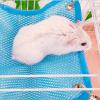 Small Pet Hammock - 3 Pack for Ferrets view 2