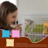 Generic Hamster Hammock - 3-Layer Mesh Ferret Hammock view 2