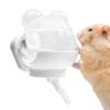 Small Animal Water Bottle 220 ml, Drinker and Feeder Accessory view 1