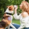 Generic Silicone Dog Treat Pouch view 2