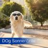 Dog Sunglasses | Foldable UV Protection for Puppies view 2