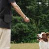 Silicone Dog Treat Pouch - Portable Training Snack Holder with Clip - 650 ml Pet Food Bag view 4
