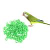 Wegiwuca 100 Pack 10mm Bird Leg Bands view 3