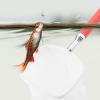 KIMISS Telescopic Fishing Net view 4