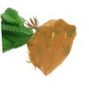 GRIRIW Artificial Reptile Plant with Base view 3