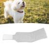 Haofy Comfortable Recovery Collar for Pets view 3