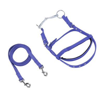 Haofy Nylon Reins for Improved Control and a Secure Grip