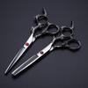 6-Inch Professional 440C Dragon-Handle Hair Cutting Shears Set view 1