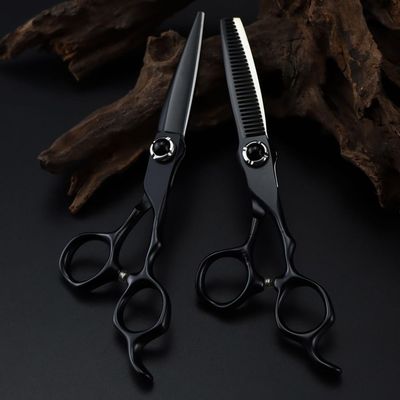 6-Inch Professional 440C Steel Hair Cutting Scissors, Black