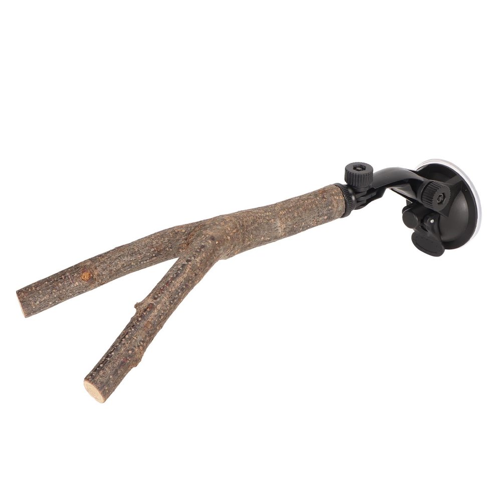 Tnfeeon Wooden Non-Slip Bird Perch Stand