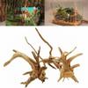 Driftwood Aquarium Branch, Random Style, Natural Decor view 3