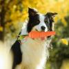 Carrot Chew Toys for Rabbits, Guinea Pigs, and Small Dogs view 2