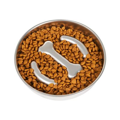 Slow-Feeder Stainless Steel Dog Bowl with Non-Slip Base
