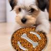 Slow-Feeder Stainless Steel Dog Bowl with Non-Slip Base view 3
