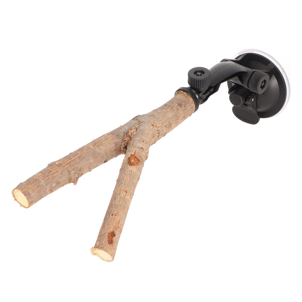 Tnfeeon Wooden Non-Slip Bird Perch Stand