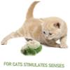 Yardwe Indestructible Chew Toy for Cats and Dogs view 3
