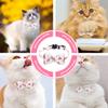 Abaodam Adjustable Cat Collar with Bell - Fruit Pattern view 2