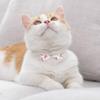 Abaodam Adjustable Cat Collar with Bell - Fruit Pattern view 3