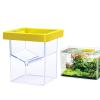 Fish Breeding Box | Multifunctional Incubator for Aquarium Fish view 3