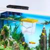 Fish Breeding Box | Multifunctional Incubator for Aquarium Fish view 4