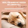 Rosewood Double-Sided Dog Brush Size L view 3