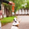 Interactive Dog Chew Toy for Intensive Chewers view 2