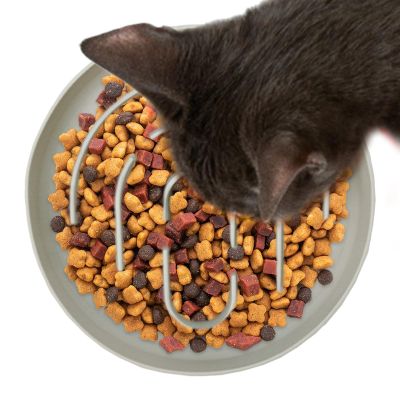 Cat Slow Feeder Bowl with Delay Effect