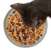 Cat Slow Feeder Bowl with Delay Effect view 1