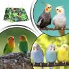 Bird Bed | Bird Hammock Accessories - Perch Summer Hut Cave for Budgerigar Cage Accessories for African Grey Conure Macaw Climbing Needs view 4
