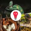 demaxiyad Reptile UVA Basking Heat Lamp view 4