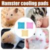 3-Tier Mesh Hammock for Small Animals and Squirrels view 4